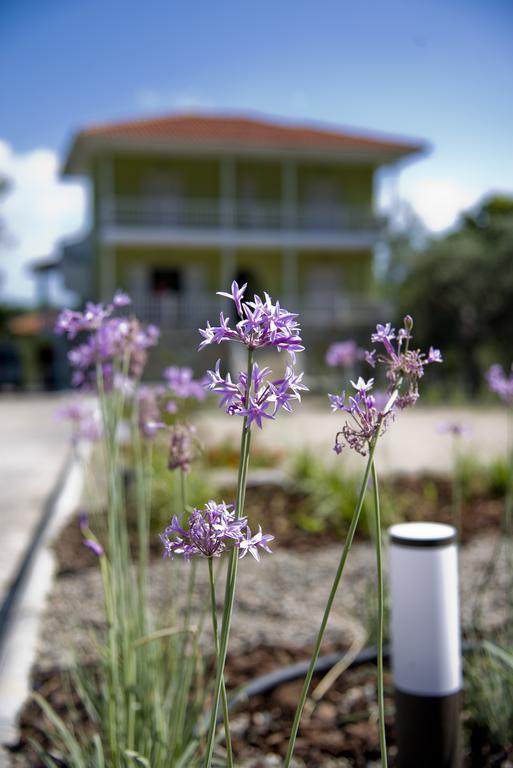 Apartamento Olivegrove House Vourvourou Exterior foto